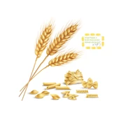 Királybúza termékek