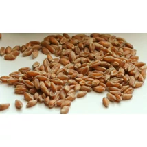 Spájzold Be! Király búza (tisztított szemes, házi őrlésre) - 5 kg