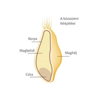 Spájzold Be! Királybúza liszt KBL 120  -  5 kg